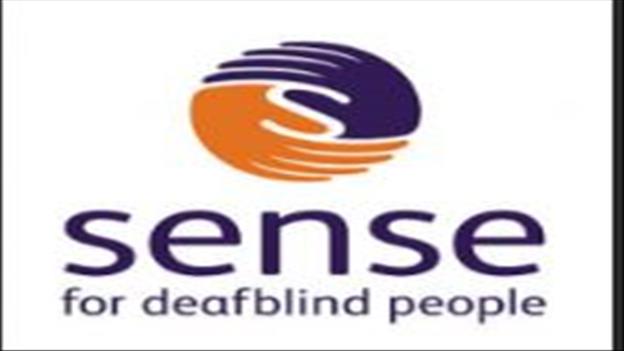 Sense Logo