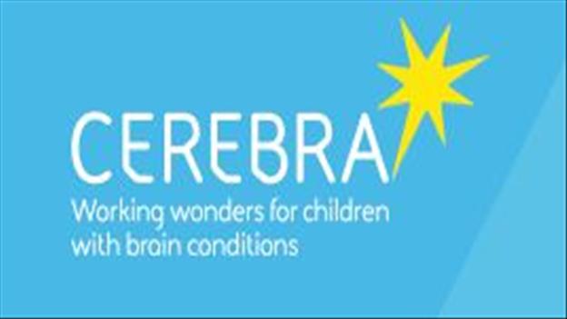 Cerebra